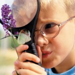 Boy Looking at Butterfly Through Magnifying Glass